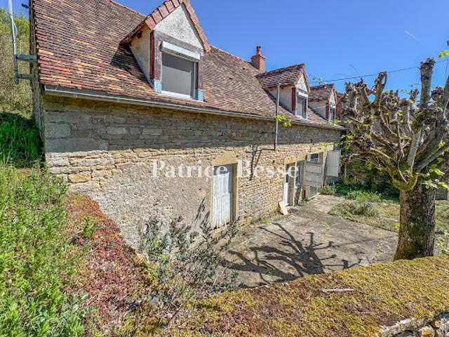 Maison avec jardin
