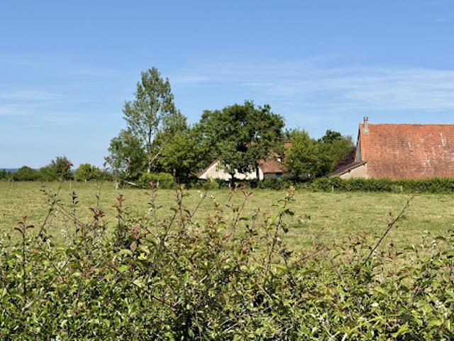 Maison avec jardin