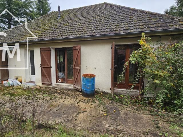 Maison avec jardin