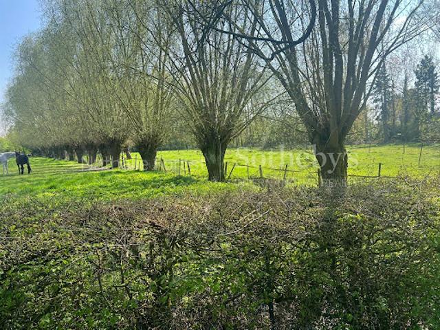 Maison avec jardin