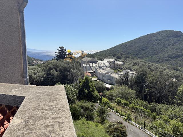 Maison avec jardin et terrasse