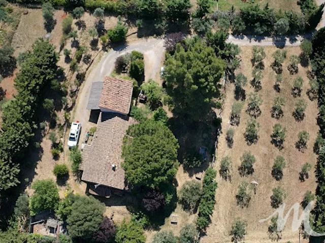 Maison avec jardin et terrasse