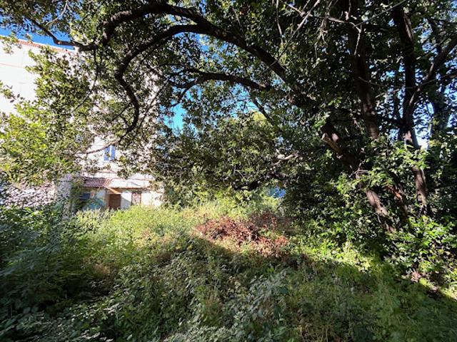 Maison avec jardin et terrasse