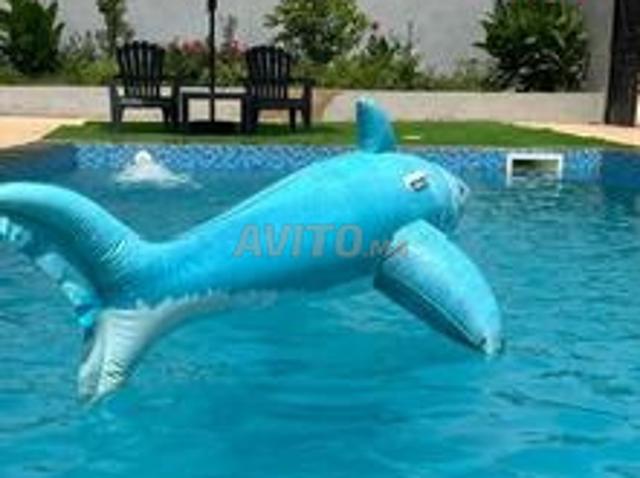 Maison avec piscine à la campagne 26km de Safi