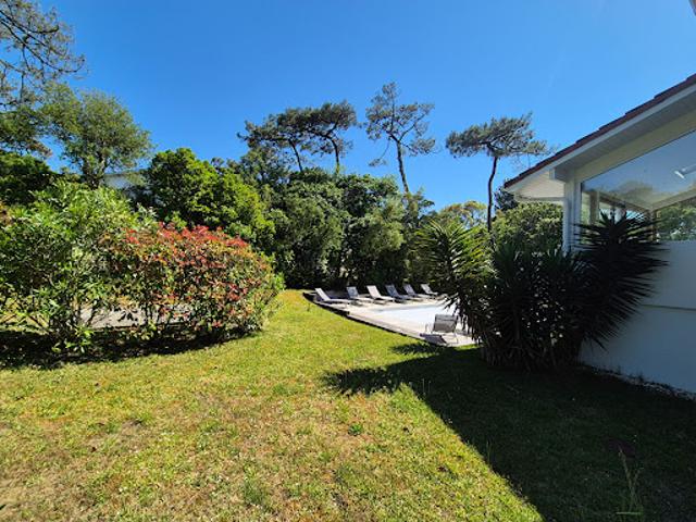Maison avec piscine et jardin