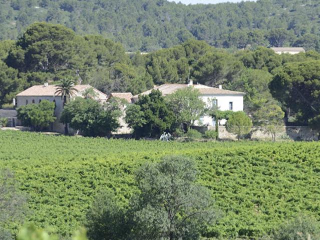 Maison avec piscine et jardin