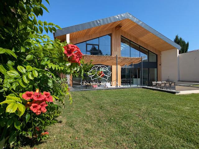 Maison avec piscine et jardin