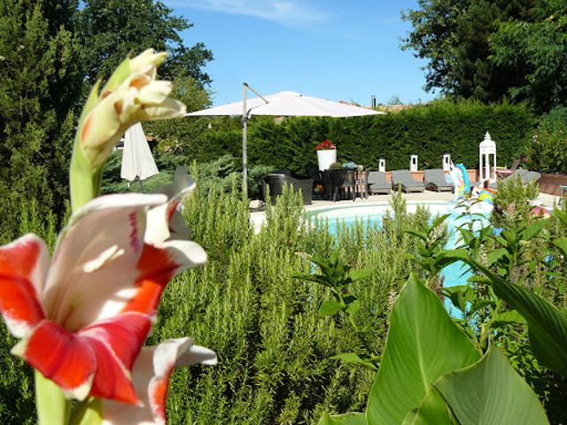 Maison avec piscine et jardin
