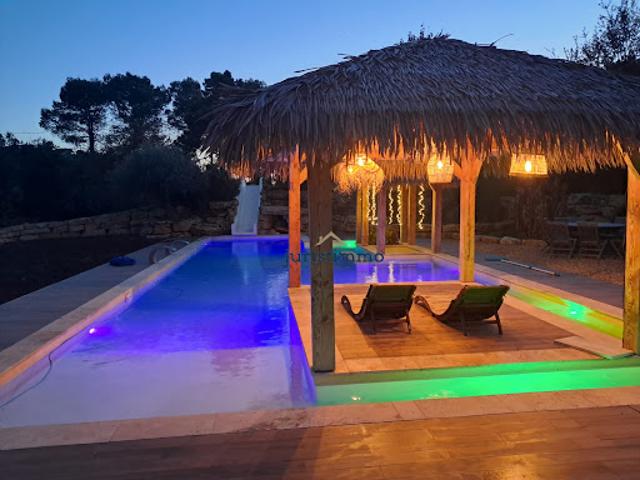 Maison avec piscine et jardin