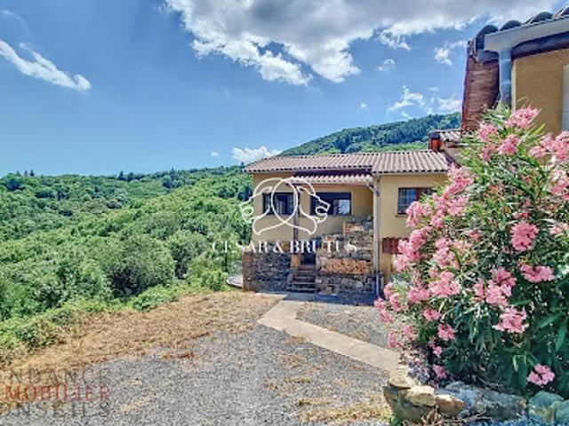 Maison avec piscine et jardin