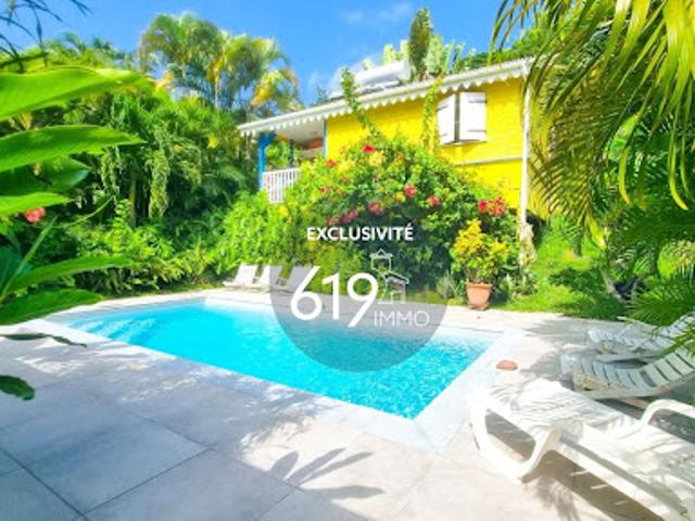 Maison avec piscine et jardin