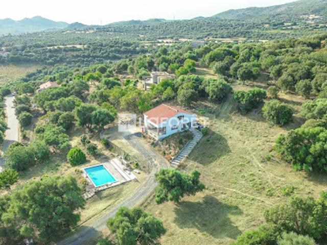 Maison avec piscine et jardin