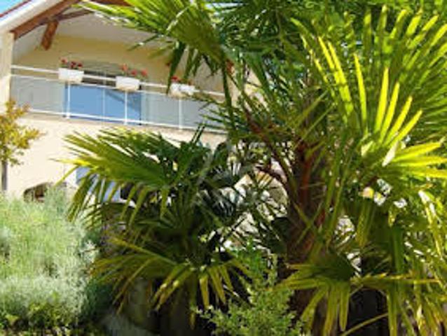 Maison avec Piscine et Terrasse