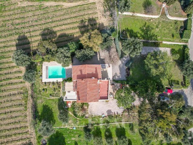 Maison avec piscine