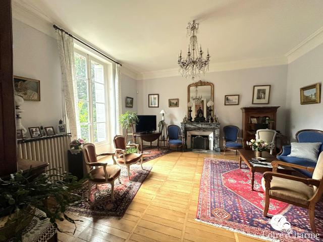 BLOIS centre ville
