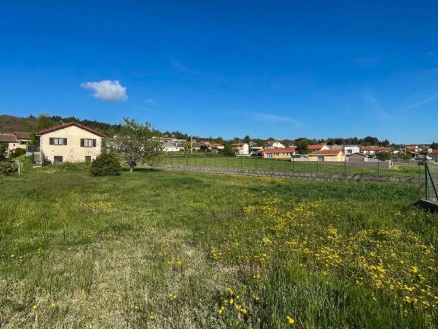 Maison Boen Sur Lignon 4 pièce s 96 m2
