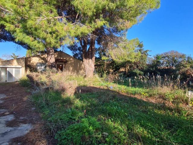 Maison Balaruc Les Bains 5 pièce s 90 m2