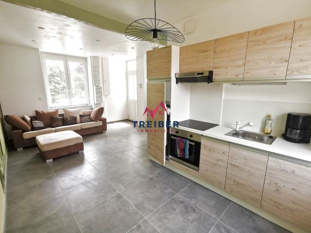 Maison Belfort secteur le mont en duplex sur sous sol avec terrain privatif de 300 m2