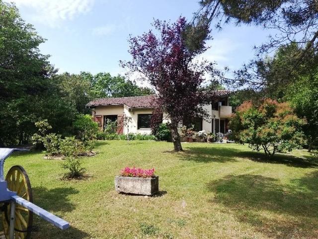 Maison grand terrain calme hectare