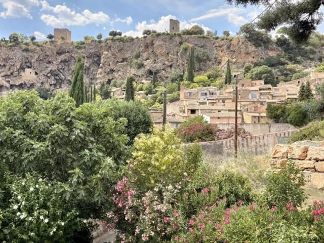 Maison dans le Village avec Jardin, Garage et Studio indépendant