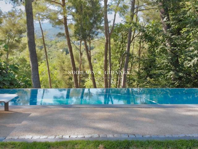 maison d'architecte dans la verdure