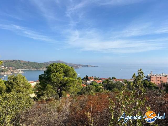 Maison de 3 pièces de luxe en vente à Banyuls sur Mer, France