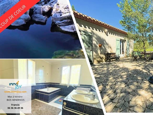 Maison de 10 pièces de luxe en vente à Bize Minervois, France
