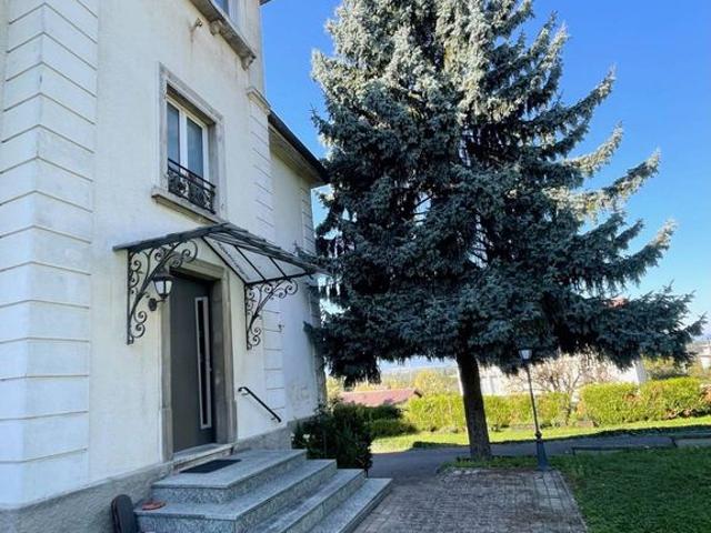 Maison de 10 pièces de luxe en vente à Mulhouse, Grand Est