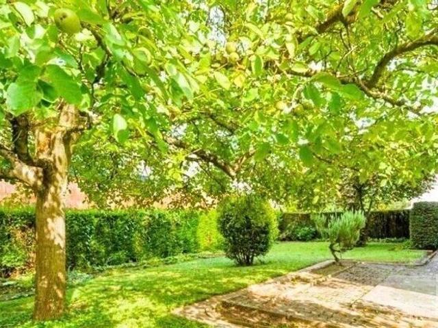 Maison de 10 pièces de luxe en vente à Oberhausbergen, France