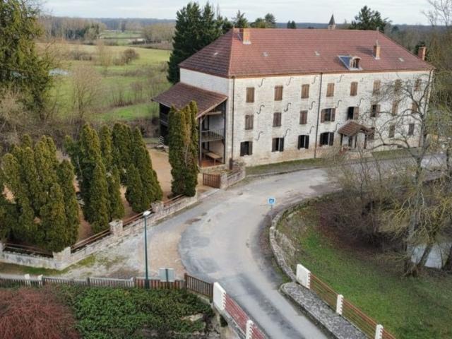 Maison de 11 chambres de luxe en vente à Tournus, Bourgogne Franche Comté