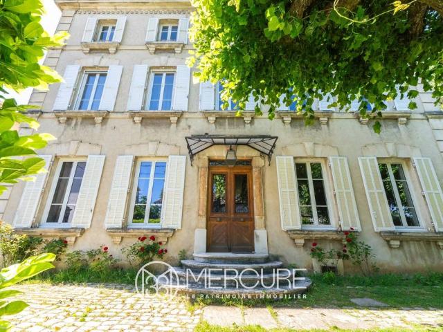 Maison de 11 pièces de luxe en vente à Anneyron, France
