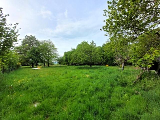 Maison de 153 m² avec 6038 m² de terrain arboré