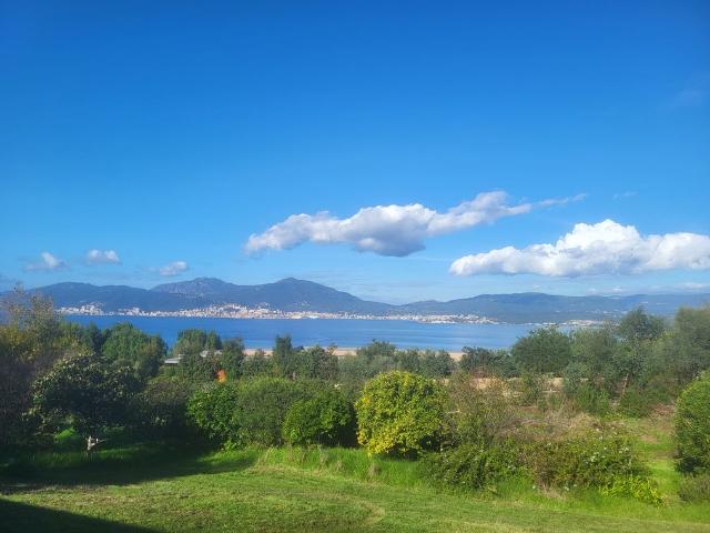 Maison de 15 pièces de luxe en vente à Porticcio, Corse