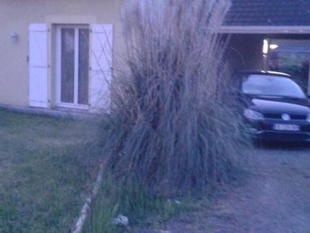 Maison de 165m2 à louer sur Denguin