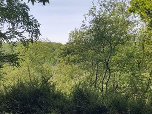 Maison de 18m2 à louer sur Saint Hilaire du Harcouët