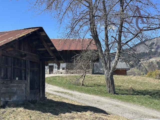 Maison de 1 pièces de luxe en vente à Praz sur Arly, France
