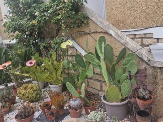 Maison de 22m2
