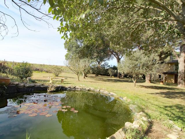 Maison de 7 chambres de luxe en vente à Nîmes, France