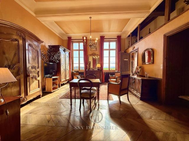 Maison de 7 chambres de luxe en vente à Semur en Brionnais, Bourgogne Franche Comté