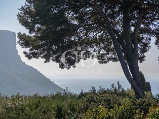 Maison de 4 chambres de luxe en vente à Cassis, France