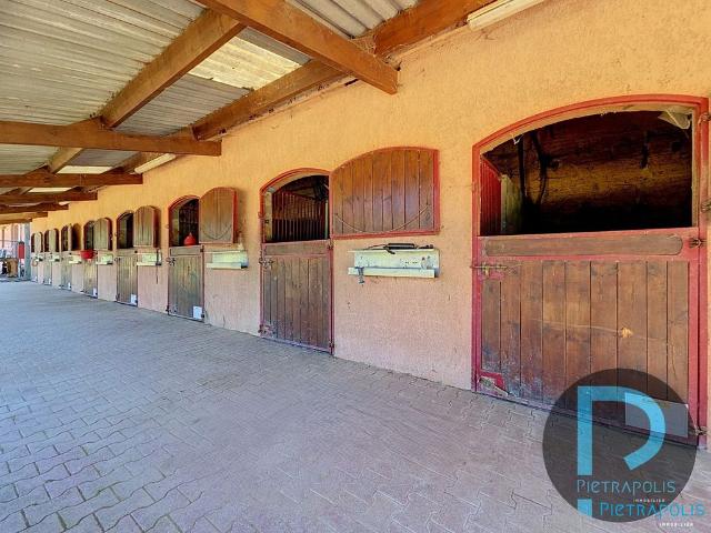 Maison de 4 chambres de luxe en vente à Saint Trivier sur Moignans, Auvergne Rhône Alpes
