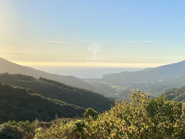 Maison de 4 chambres de luxe en vente à Propriano, Corse