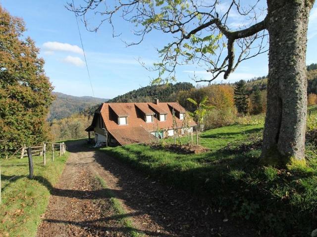 Maison de prestige en vente Masevaux, Grand Est