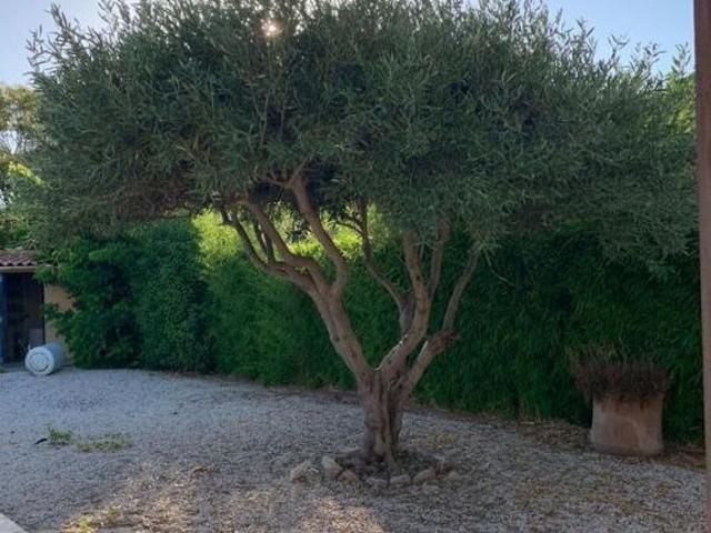 Maison de luxe de 2 chambres en vente à Toulon, Provence Alpes Côte d'Azur
