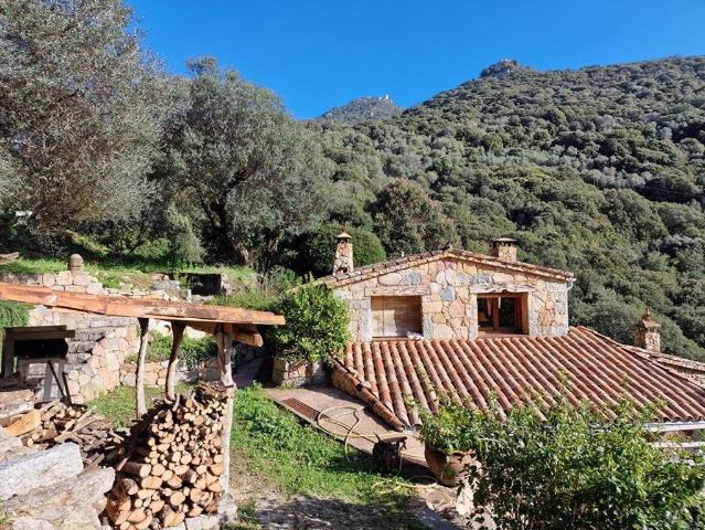 Maison de 5 pièces de luxe en vente à Olmeto, Corse