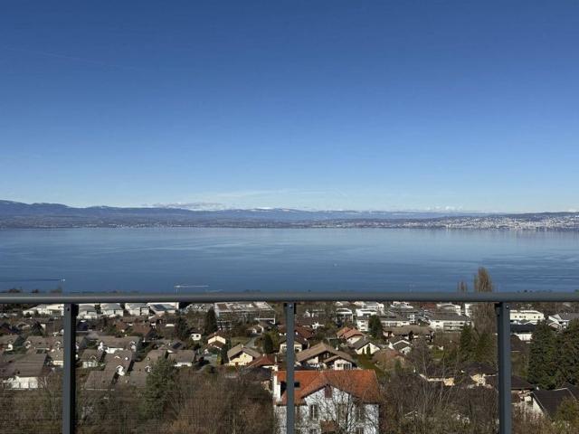 Maison de 5 pièces de luxe en vente à Évian les Bains, France