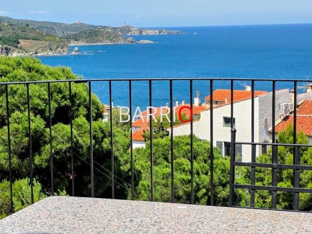 Maison de 6 pièces de luxe en vente à Banyuls sur Mer, Occitanie
