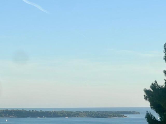 Maison de 6 pièces de luxe en vente à Cannes, France