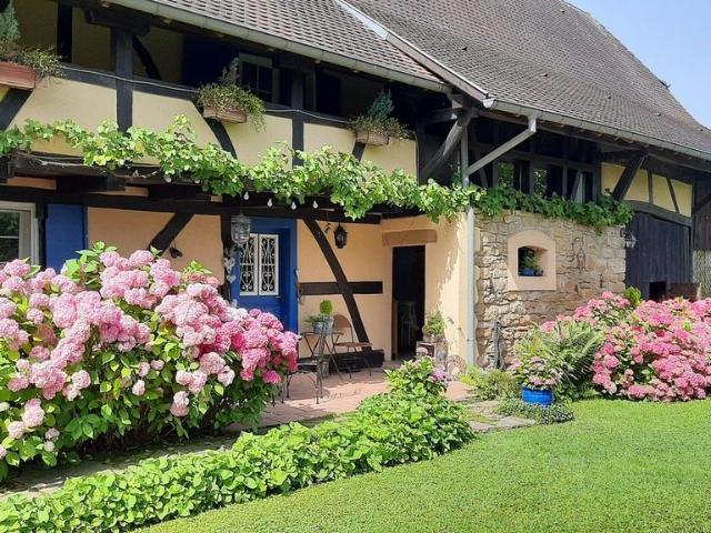 Maison de 6 pièces de luxe en vente à Schwoben, Grand Est