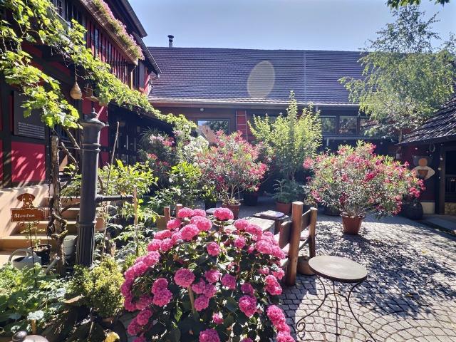 Maison de 8 pièces de luxe en vente à Olwisheim, Grand Est